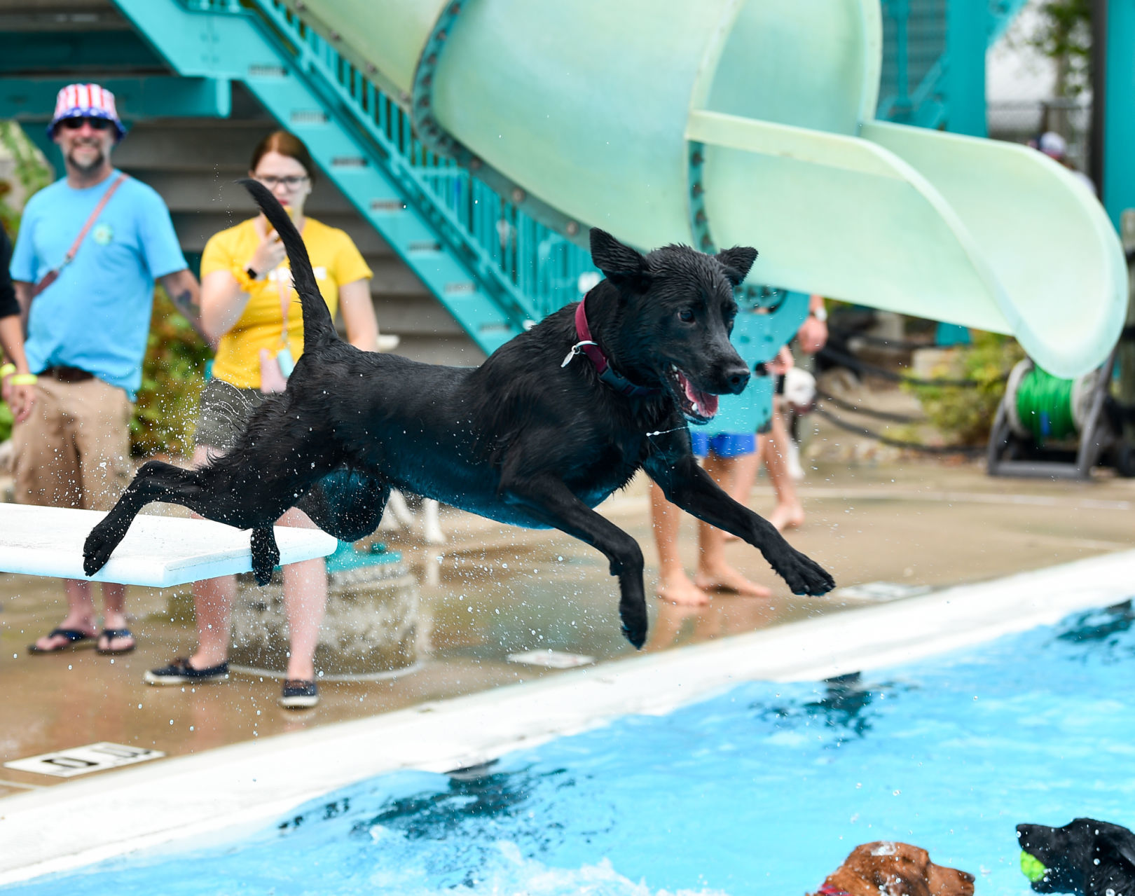 082919-bet-doggysplash-135a.JPG